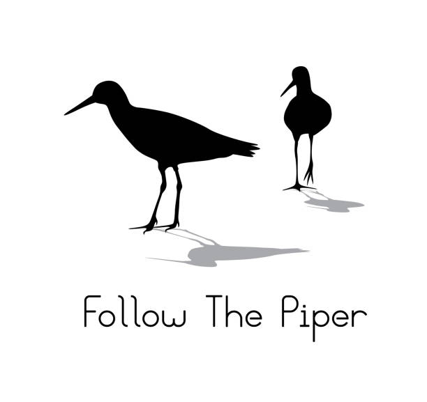 Follow The Piper Silhouette Two birds standing with their gazes locked on a distant object to the left wader bird stock illustrations