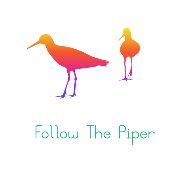 Follow The Piper Silhouette Rainbow Two birds standing with their gazes locked on a distant object to the left sandpiper stock illustrations