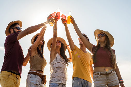 Low angle view of small group of people making a celebratory toast in sunshine while having a relaxing beach party together.