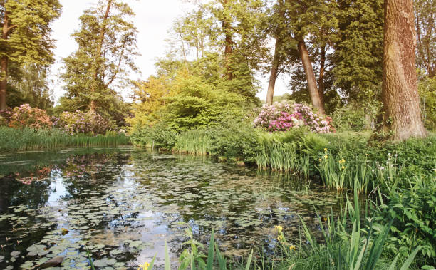 istock Spring landscape. Scenic view of a pond in a park in sunlight. 1280459974