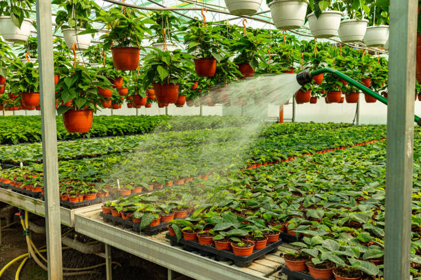 istock Watering plants with garden hose 1280461137