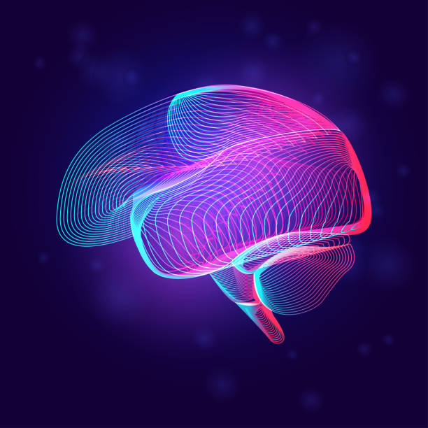 인간의 뇌 의료 구조. 네온 추상적 배경에 3d 라인 아트 스타일로 신체 부위 장기 해부학의 윤곽 벡터 일러스트 - brain stock illustrations