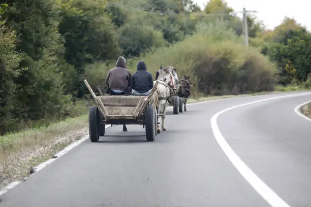 Roma people drive a horse drawn cart on a public road.