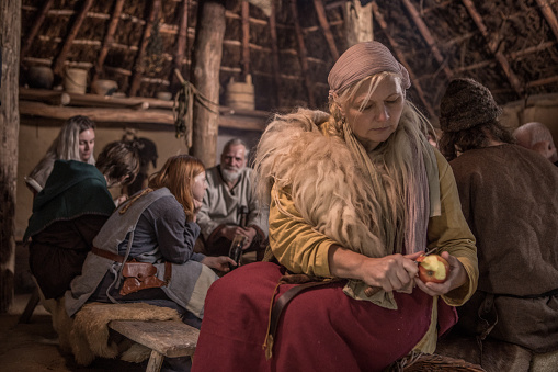 An viking family scene in an authentic viking settlement village setting