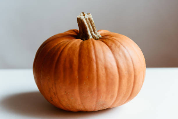 istock Orange pumpkin on a whtie background. Halloween concept 1280468418