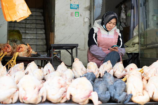 Xining City, Qinghai Province, China - October 16, 2020: A Muslim woman using smart phone in her chicken shop, her shop sells halal chicken, in Xiananguan Street, Xining City, Qinghai Province, China. There are about 30 million Muslims in China, Qinghai Province is one of the main areas inhabited by the Muslim population in China.