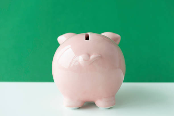istock Back of Piggy Bank 1280469586