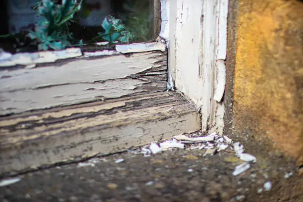 Photo of Decaying wooden window sill with old white paint flaking off  in need of some TLC.