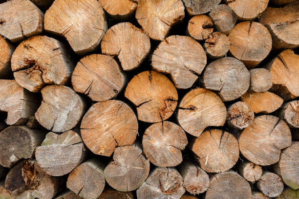istock Round firewood stacked in a woodpile. 1280473560