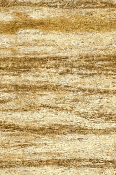 istock Brown, orange background of crumpled paper or rough plaster for design or text. Surface texture. Vertical shot. Close-up. 1280474440