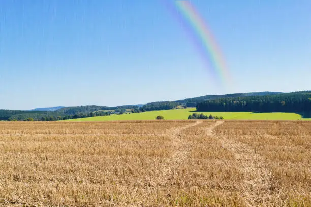 a field with a beautiful rainbow in the autumn