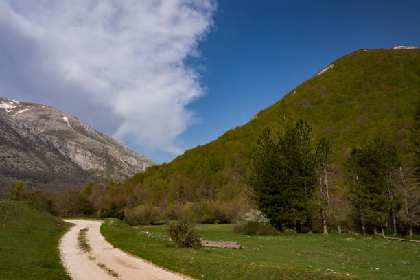 istock Abruzzo National Park Mountains, Lazio and Molise 1280477256