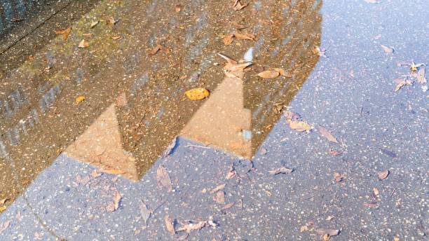 istock puddle with fallen leaves and reflection of house 1280480333