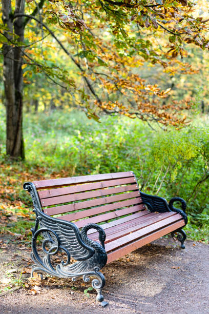 istock old wooden bench under horse chestnut tree 1280483831