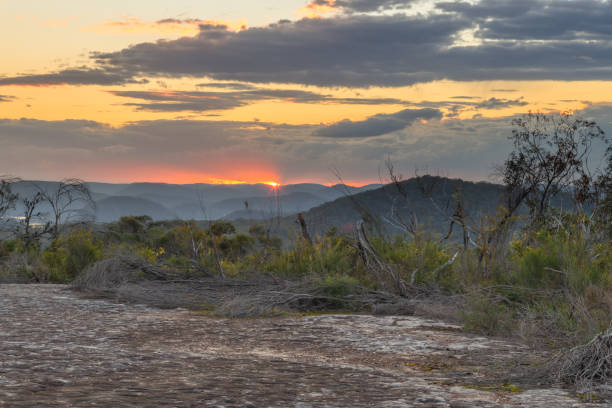 Sunset in the bush with Tessellated Rock Pavement in the Bouddi National Park between Patonga and Pearl Beach on the Central Coast of NSW, Australia.