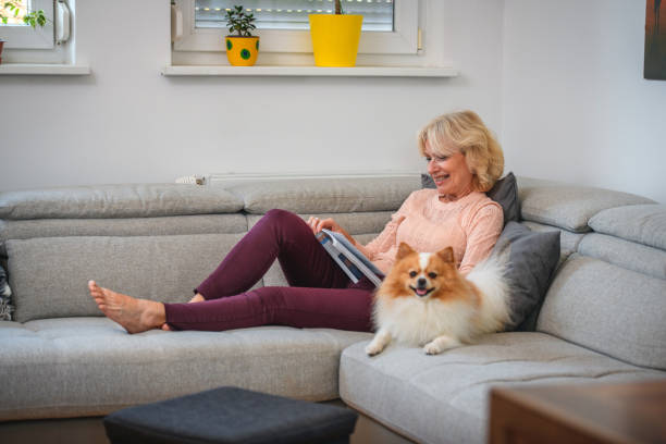 Caucasian senior woman is sitting on a sofa reading a book and cuddling a dog. She is happy and smiling.