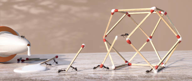 Ants Form Three Dimensional Geometric Sculpture From Matchsticks And Glue