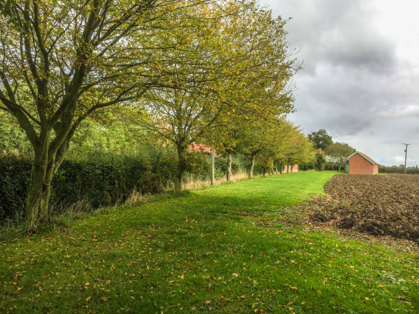 istock Walk round St Cross, South Elmham  Suffolk 1280490007