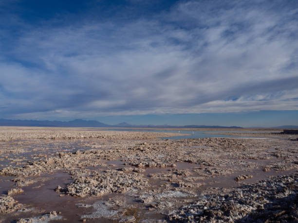 istock Salt crystals at Salar de Atacama, Chile. 1280490044