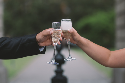 bride and groom's hands making a toast, holding glasses with prosecco on green background outdoors