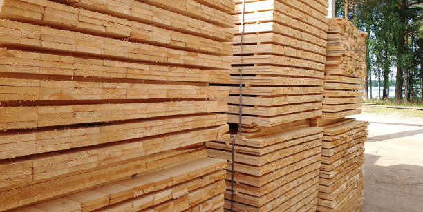 istock Timber drying at the lumber yard storage 1280492129