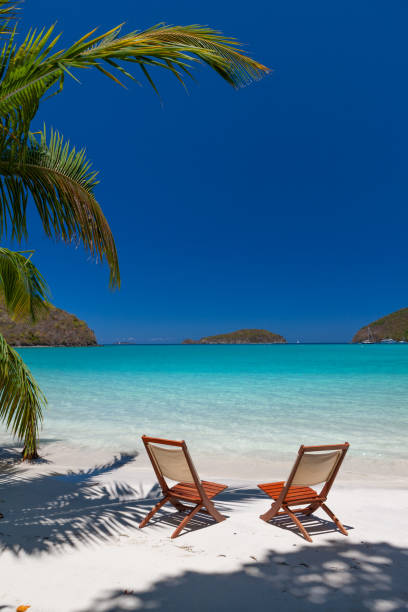 istock chairs under palm trees on a tropical beach in the Caribbean 1280495449