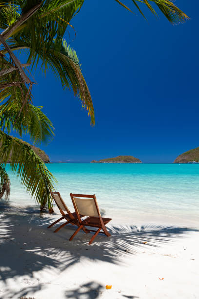 istock chairs under palm trees on a tropical beach in the Caribbean 1280495454