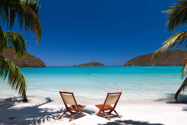 istock chairs under palm trees on a tropical beach in the Caribbean 1280495457
