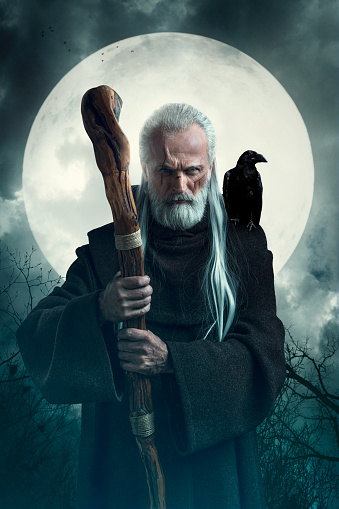 Portrait of senior wizard with a crow on his shoulder