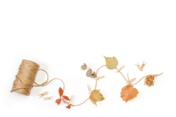 istock Dry flowers and leaves on a thread on a white background 1280498361