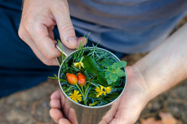 A metal mug with herbal tea in a man's hand. A metal mug with herbal tea in a man's hand. Herbal tea from rose hips and various herbs in a stainless steel cup. Hiking tourism concept. Selective focus. pine needle tea stock pictures, royalty-free photos & images