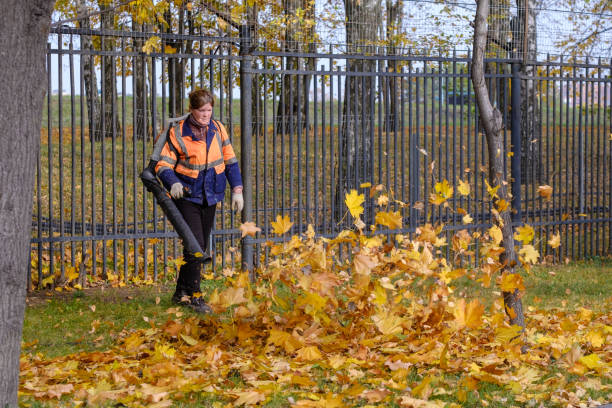 女性のユーティリティワーカーは、公園の芝生の落ち葉を取り除くためにブロワーを使用しています。 - wilted plant audio ストックフォトと画像
