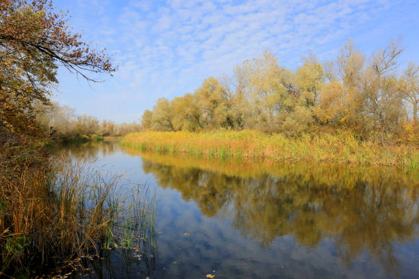 istock Autumn day on lake 1280502486