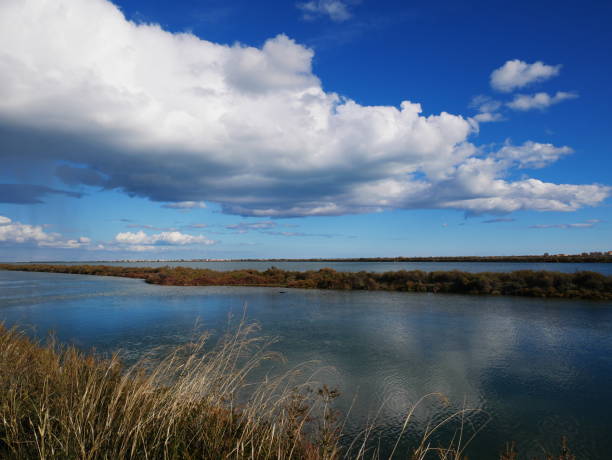 istock Photo big thick clouds in the sky above a pond 1280502536