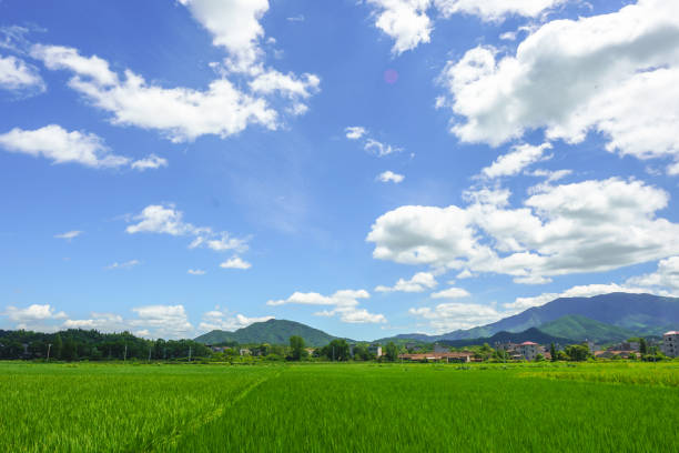 istock Beautiful farm harvest scene 1280507865