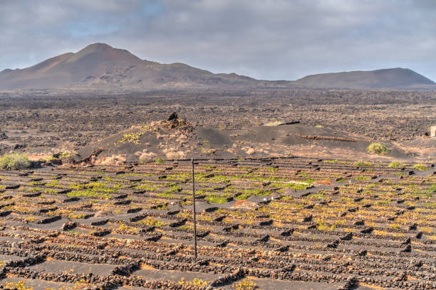 istock La Geria wine region, Lanzarote 1280508098