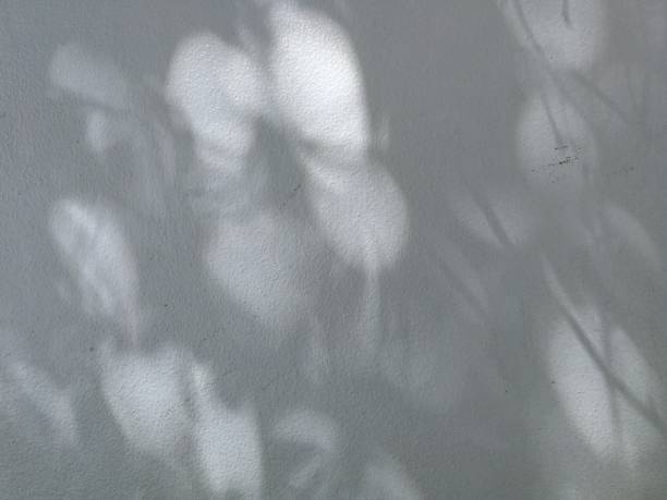 istock Full frame shot of lights and shadows on white wall, bokeh circle background. 1280509137