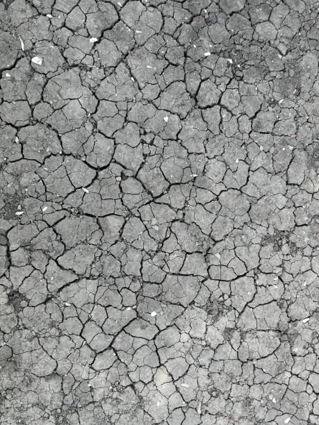 Dry cracked dirt ground, full frame shot of cracked dirt. Concept about desert, dry land background and blank space for your work. entire track stock pictures, royalty-free photos & images