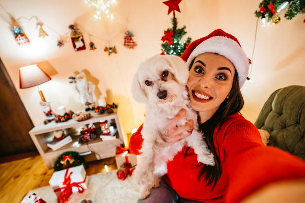 mulher fazendo selfie de natal com cachorro - christmas decoration photography themes christmas ornament - fotografias e filmes do acervo