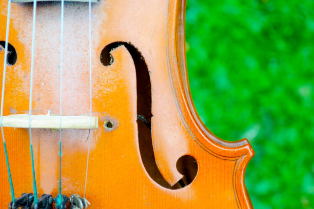istock Close up of violin on grass background 1280515222