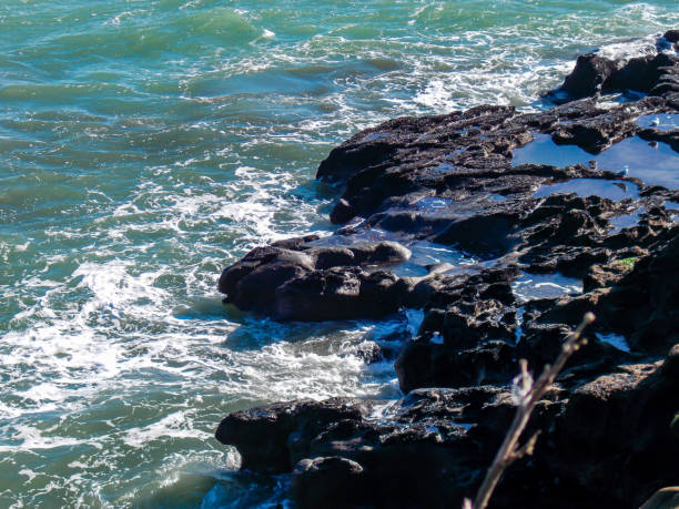 las olas se estrellan en tierra en una playa rocosa. auckland, nueva zelanda - auckland region fotografías e imágenes de stock