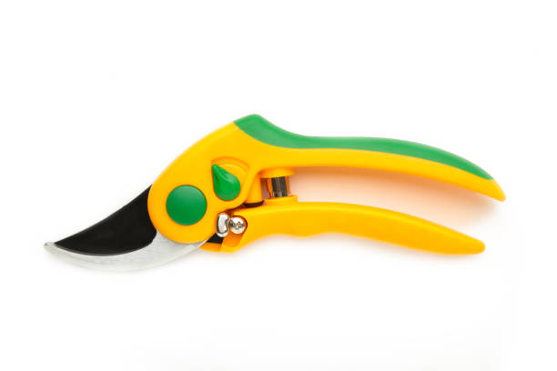 istock Garden secateurs isolated on a white background. 1280522417