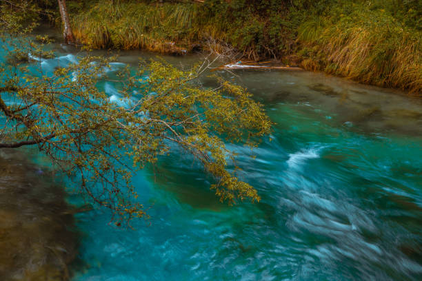 The beautiful creeks and waterfalls in Jiuzhai valley, Sichuan province, during late autumn time.