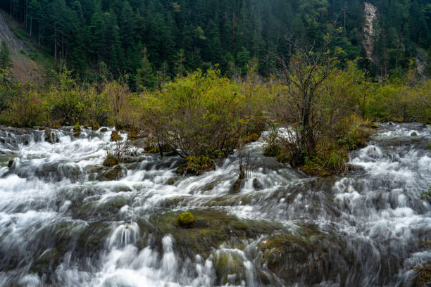 istock Waterfall in Jiuzhai Valley 1280525251