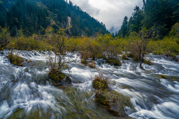 istock Waterfall in Jiuzhai Valley 1280525601
