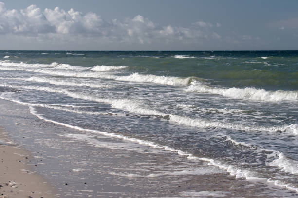 istock Baltic sea coast on Darss in Germany 1280525887