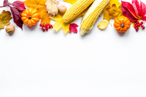 istock Autumn or Thanksgiving background with leaves and pumpkins 1280529652