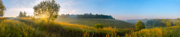 istock Sunny summer panoramic landscape with green hills 1280529966