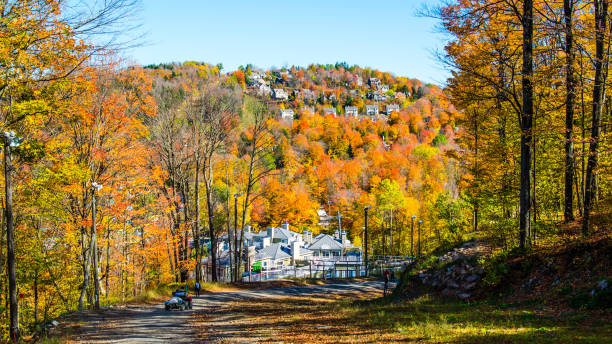istock Autumn scenery on Bromont Mountain in Quebec Canada 1280530824