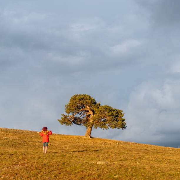 Young woman on the hill taking picture
